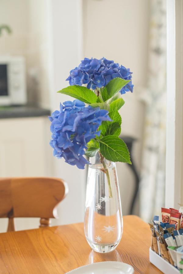 Pant-Y-Celyn Studio Apartment Aberaeron Εξωτερικό φωτογραφία